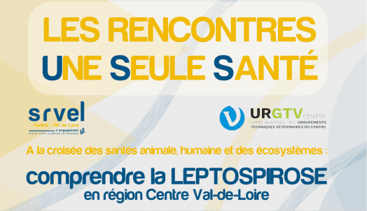 A la croisée des santés animale, humaine et des écosystèmes : comprendre la LEPTOSPIROSE en région Centre Val-de-Loire