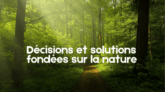 Décisions et solutions Fondées sur la nature